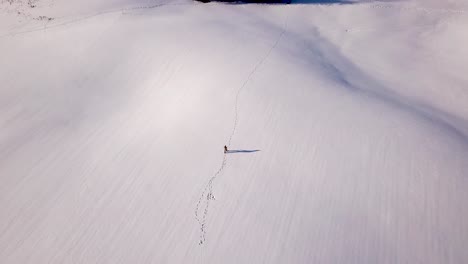 Young-man-walks-through-a-snow-field-in-Switzerland