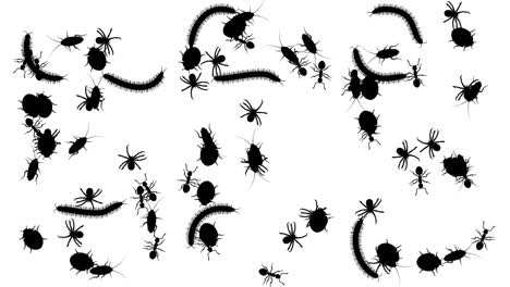 swarm of arthropods, cg animated silhouettes on white, seamless loop