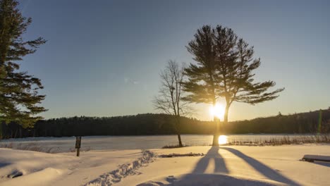 Lapso-De-Tiempo-De-Salida-Del-Sol-En-Invierno-Con-Un-árbol