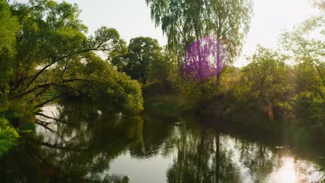 Antenne-–-Sommerbäume,-Die-Sich-An-Den-Fluss-Lehnen,-Und-Sonnenlicht,-Das-Sich-Im-Fließenden-Wasser-Widerspiegelt