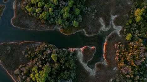 laguna costera pantano lago salado con pinos al atardecer