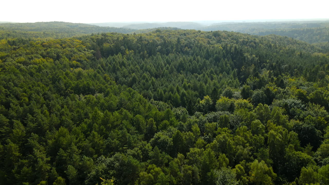Thick Forest And Mountain Landscape In Witamino Poland - aerial shot