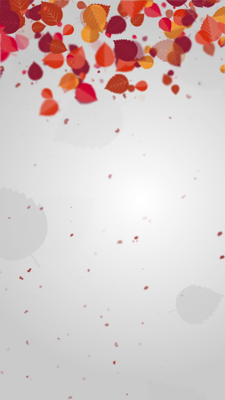 Red autumn leaves falling down. Grey abstract art background with animated colorful painted leaf. Looped motion graphics. Copy space. Vertical video.