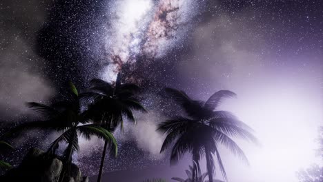 la galaxia de la vía láctea sobre la selva tropical.