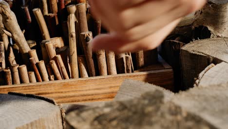 Primer-Plano-De-Una-Mano-Sacando-Un-Palo-De-Una-Caja-De-Madera-Llena-De-Muchos-Palitos-Y-Ramas-Cortadas-Con-Leña-Picada-En-Primer-Plano