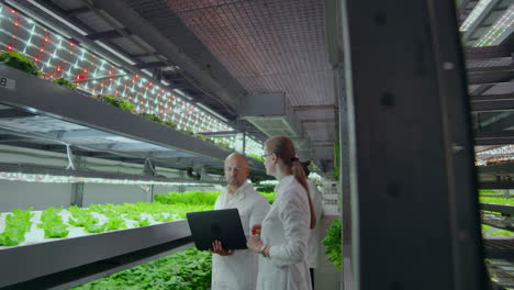 agricultural engineers working in plantation. full length portrait of four modern scientists studying selection of vegetables in greenhouse of agricultural