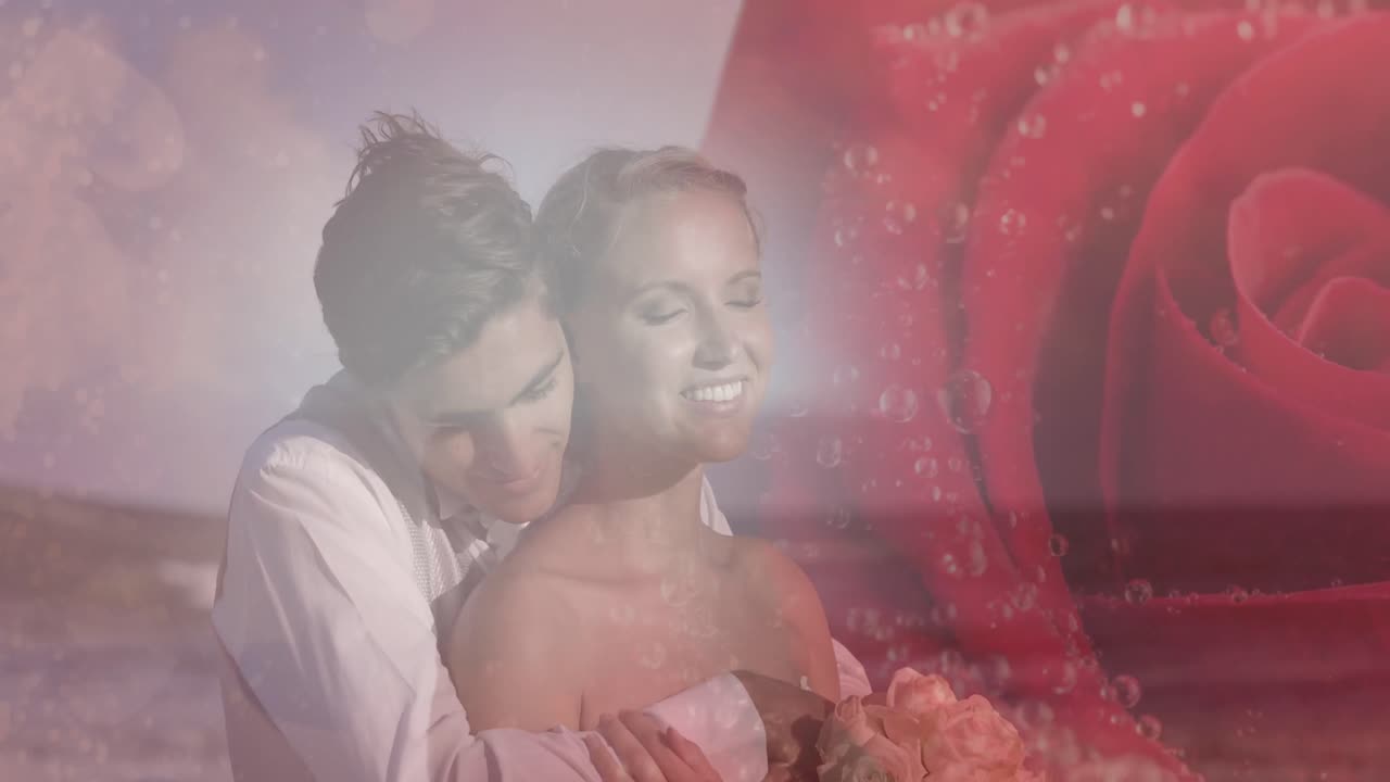 해변에서 결혼한 부부의 로즈 오버 애니메이션