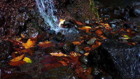 Ruhiger-Und-Friedlicher-Mini-Wasserfall,-Der-Mit-Herbstlaub-Durch-Flusssteine-Fließt---4k