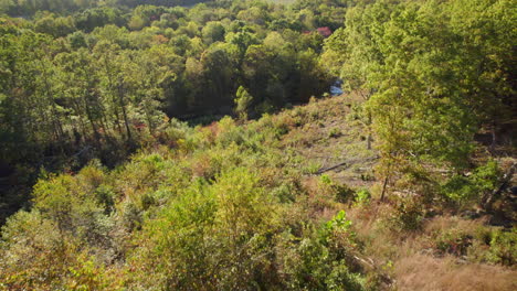 Antena-Sobre-árboles-Y-Arroyos-En-El-Sur-De-Missouri