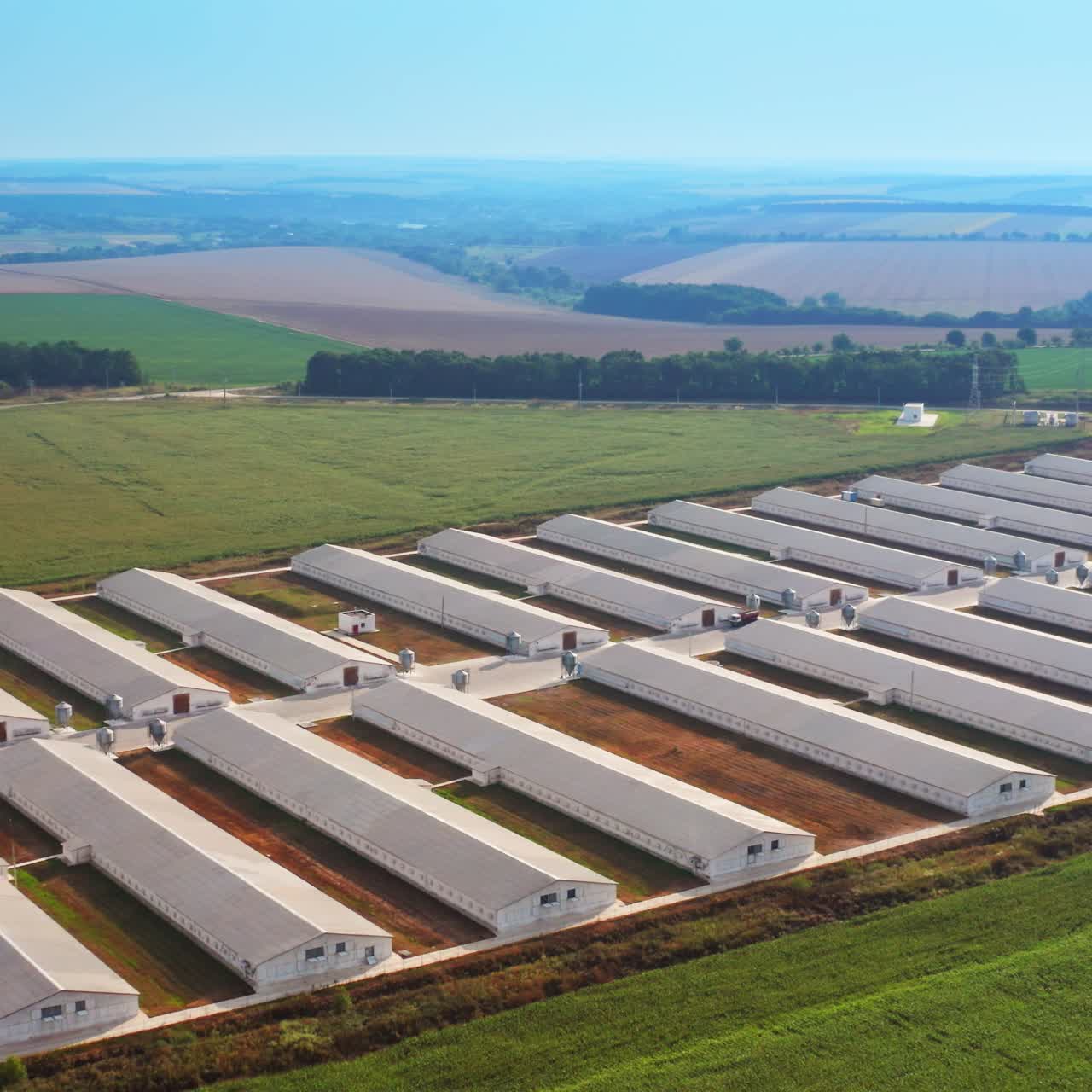 Large agribusiness enterprise amidst green plantation. Well-kept area of modern farming complex shot from drone. Nature at backdrop