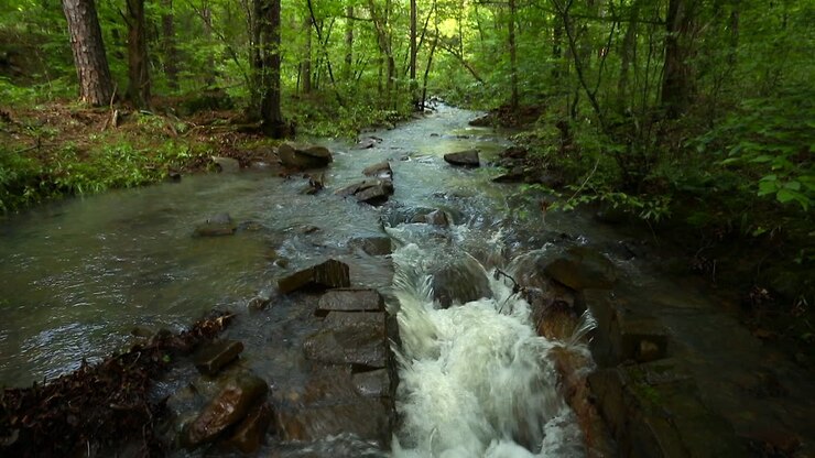 A creek flowing over, around and through rocks in a forest during the summer