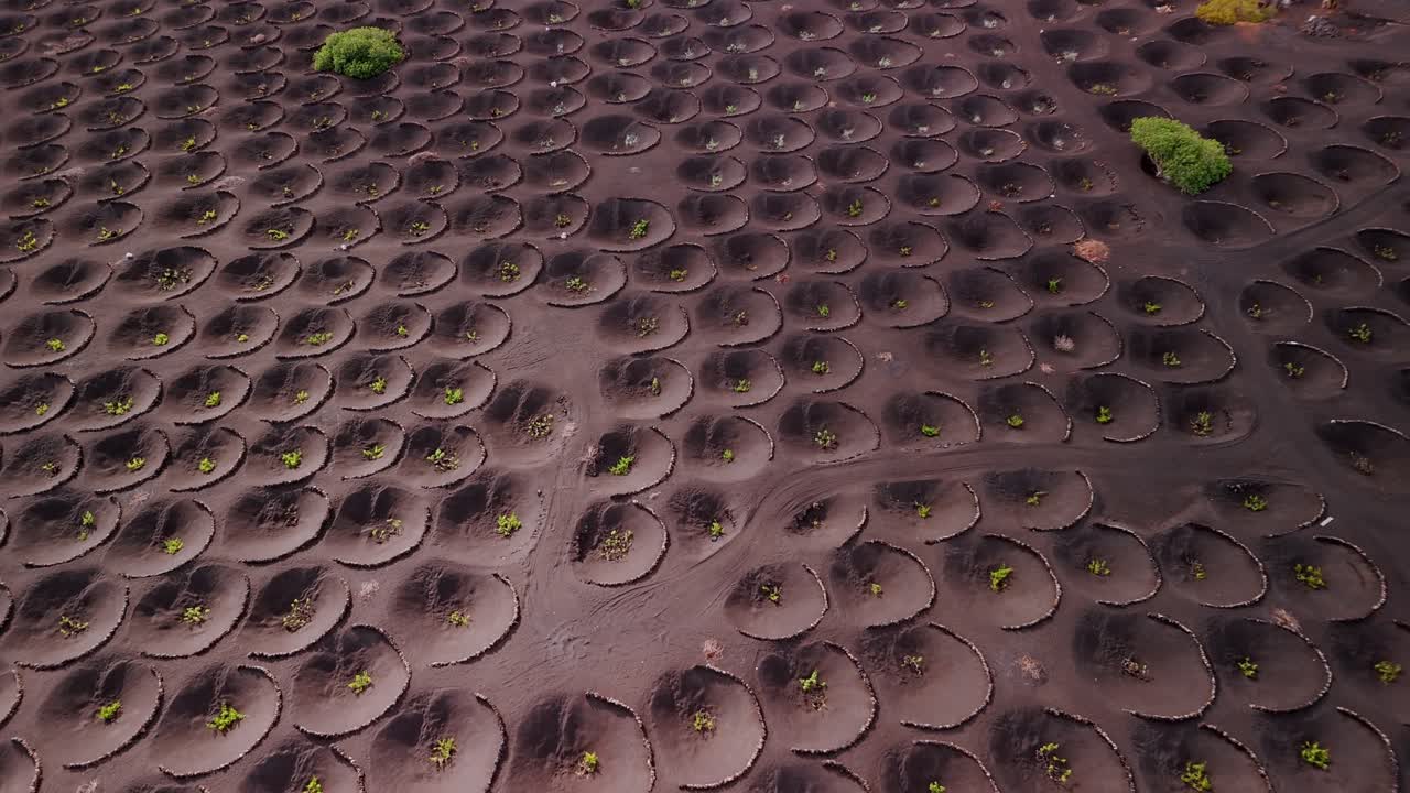 La Geria is a unique wine-growing region in Lanzarote, part of the Canary Islands, Spain, known for its striking landscape shaped by volcanic activity.