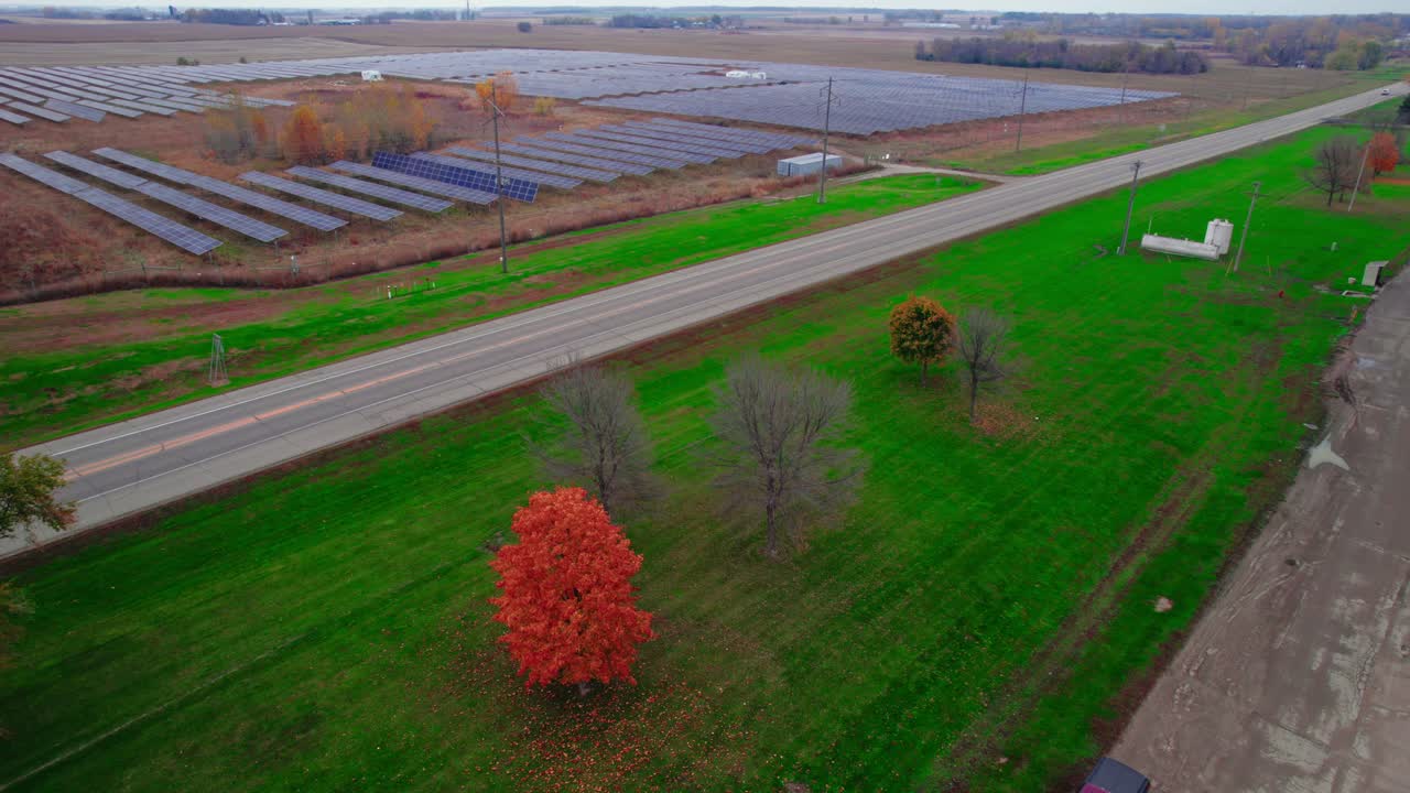 árbol de otoño solitario se destaca contra los campos verdes y una matriz de paneles solares por una carretera rural