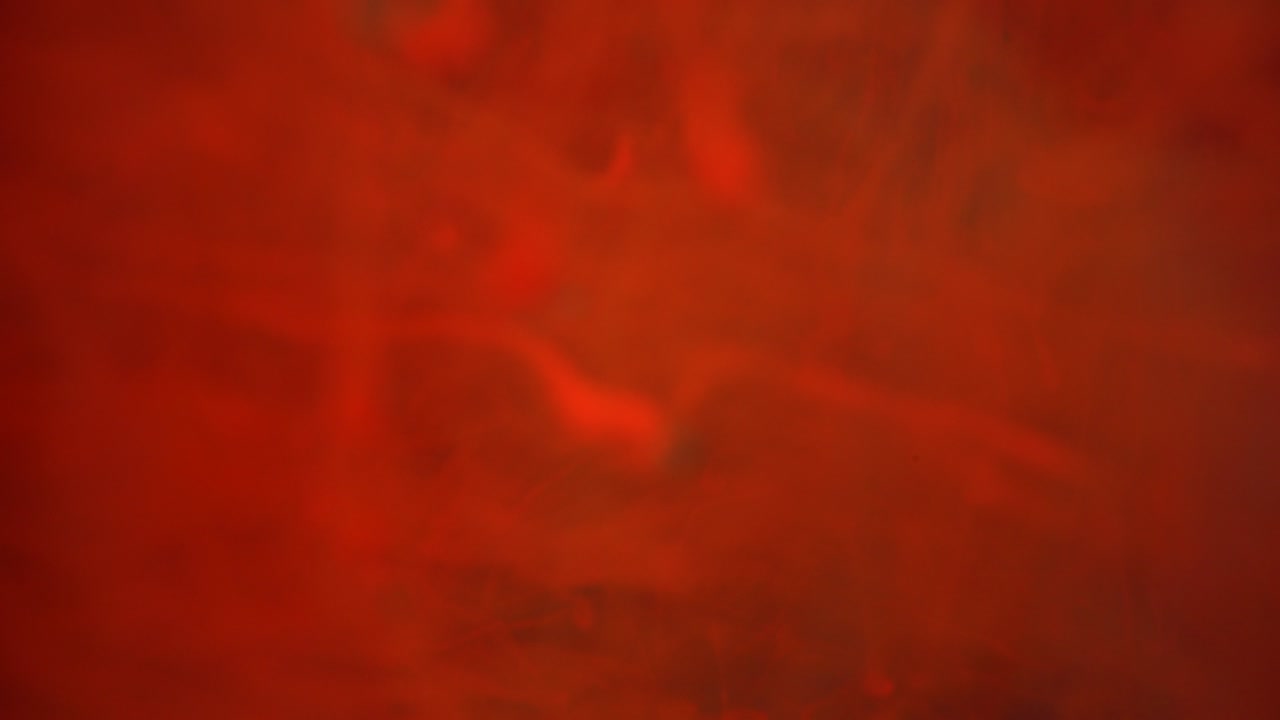 아크릴 페인트가 물에 부어집니다.