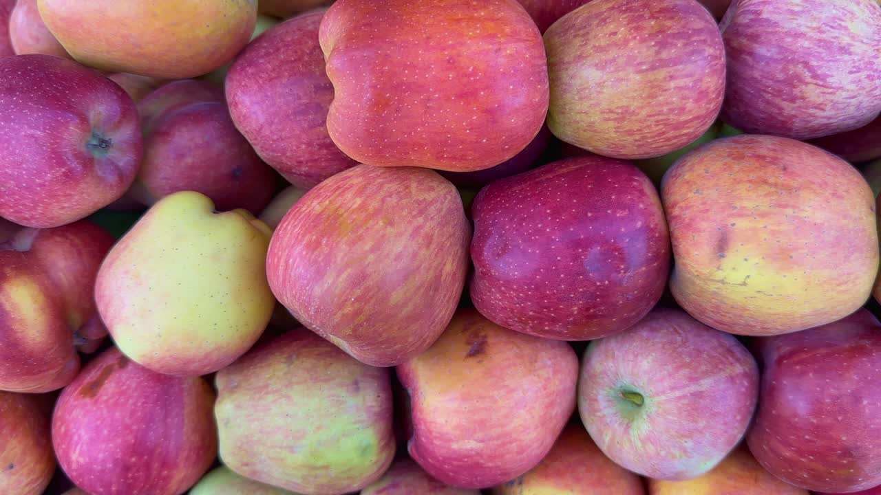 Pile of Red and Yellow Apples