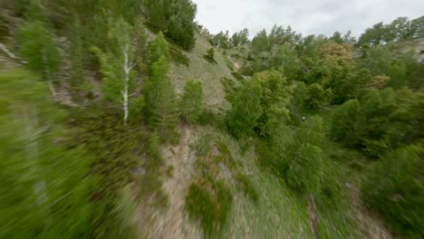 view of the rugged forests that cover the mountainside. rock and rock scatterings. the richness and diversity of the plant world in the region.