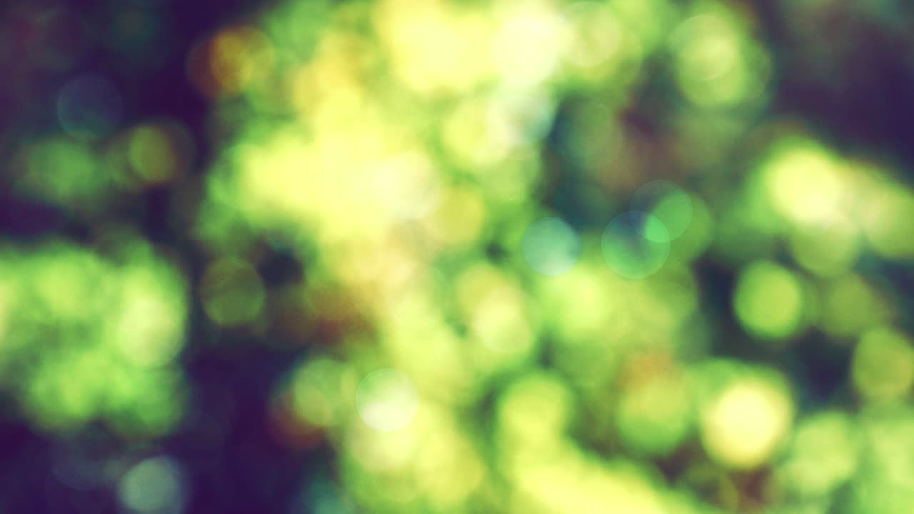 fondo verde y imagen bokeh en movimiento 1