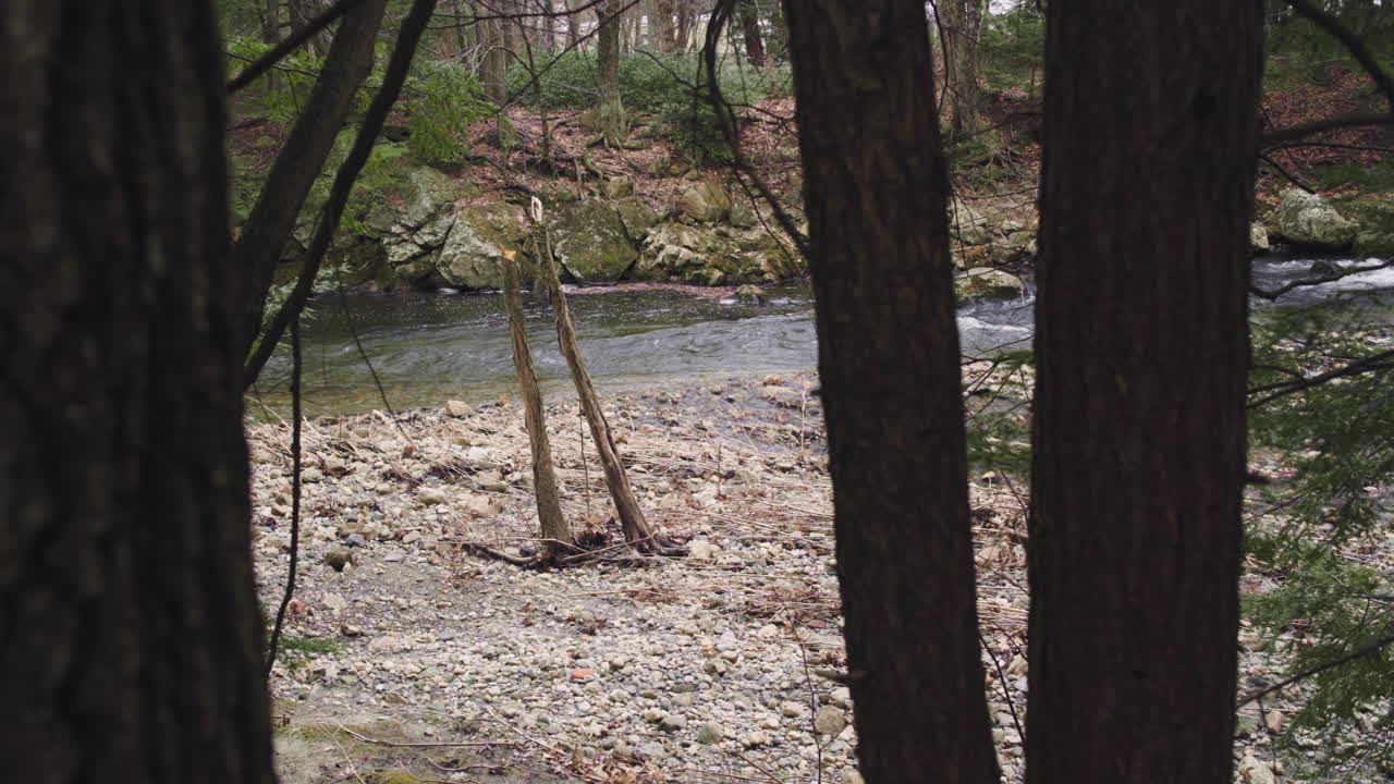 orilla rocosa a lo largo de un río en massachusetts