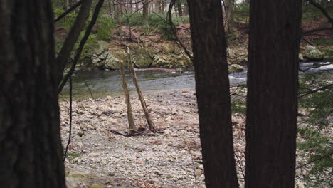 Orilla-Rocosa-A-Lo-Largo-De-Un-Río-En-Massachusetts