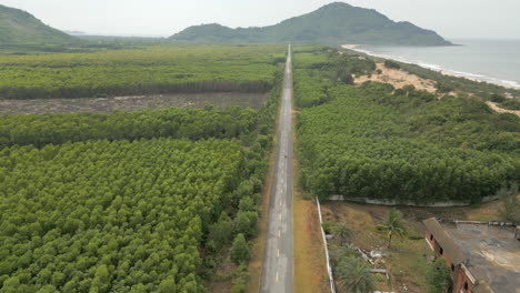 Drone-Tracking-Scooter-Down-Empty-Road-Near-Lang-Co-In-Vietnam-Full-Speed-60FPS