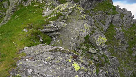 hike in the high tatras focused on the rock hill in front, 50fps + 100ss