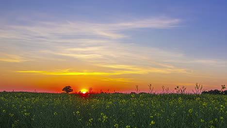 Timelapse-of-sunset-casting-shades-over-rural-fields