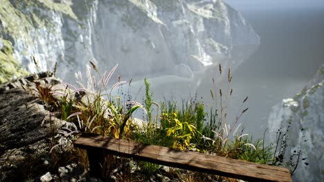 Frisches-Gras-An-Einer-Großen-Felsigen-Klippe-Im-Ozean