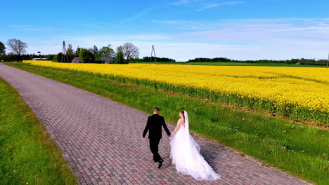 a newlywed couple walks hand in hand along a quiet rural road flanked by lush green crops and a vibrant yellow field under a clear blue spring sky