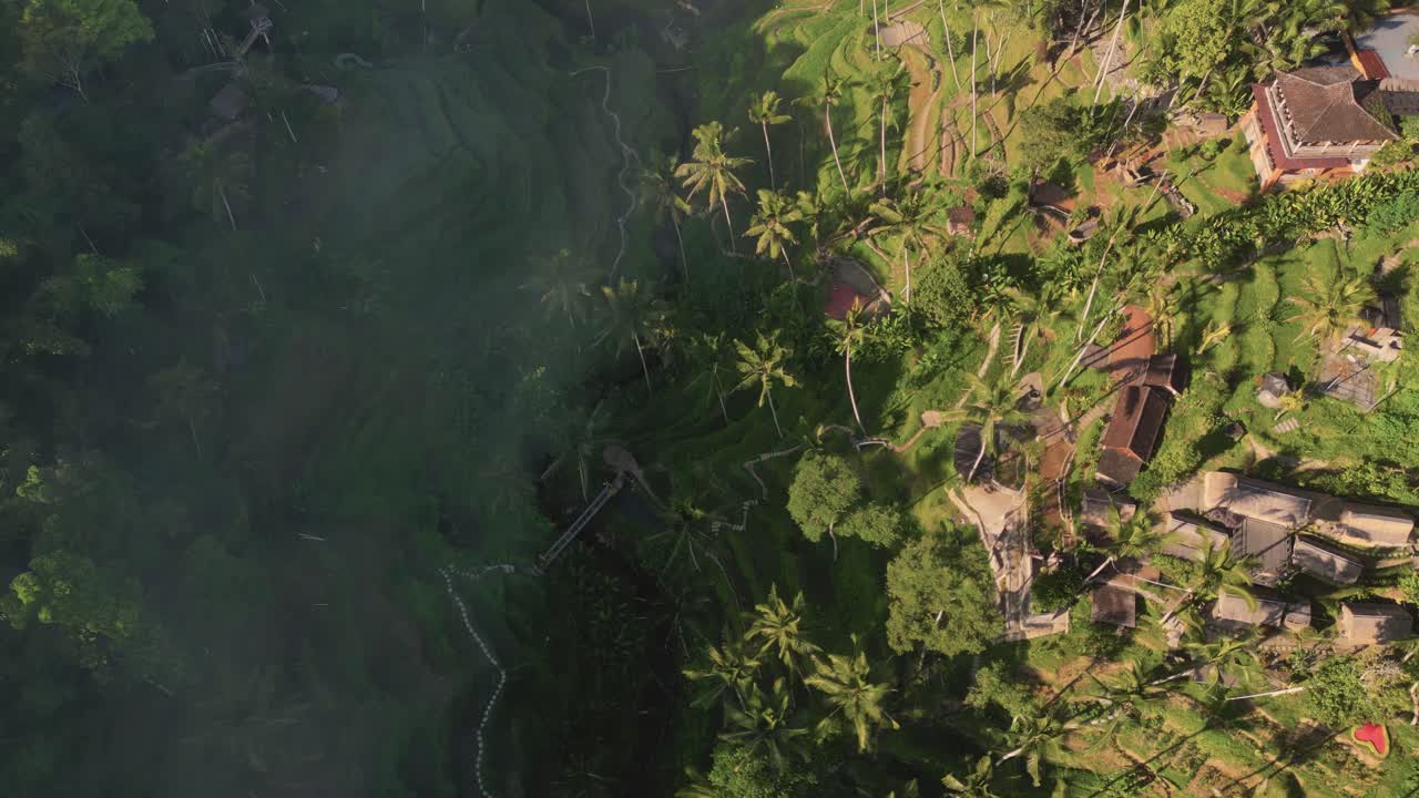 Ripresa con drone sopra le nuvole nelle risaie a terrazze di Tegallalang, una risaia turistica a Ubud - Bali, Indonesia