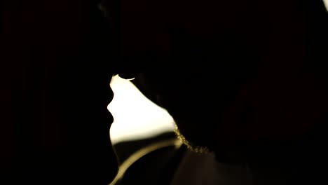 couple kissing silhouette