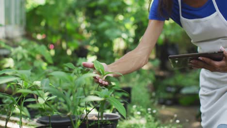 woman using digital tablet in a botanical garden