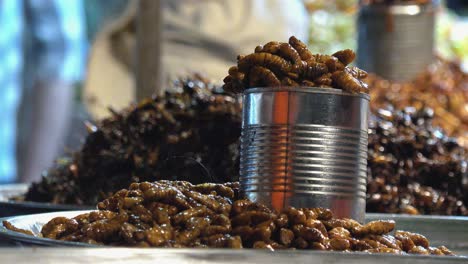 recogiendo insectos fritos de una bandeja en el mercado nocturno