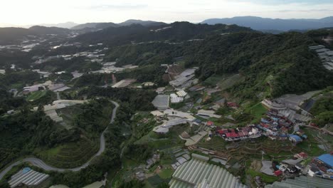 general landscape view of the brinchang district within the cameron highlands area of malaysia