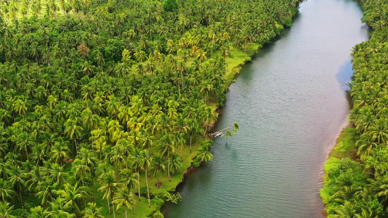 cocoteros de crecimiento denso a lo largo de la orilla del río con un bote de amarre cerca de san bernardo en el sur de leyte, filipinas