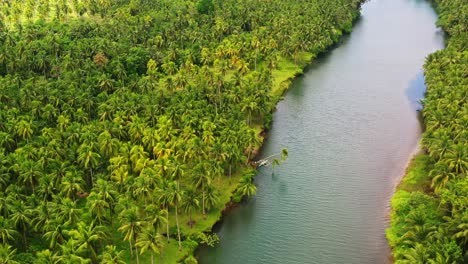 densely growing coconut trees along the riverbank with mooring outrigger boat near saint bernard in southern leyte, philippines