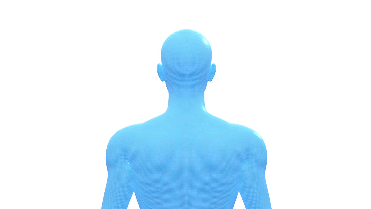 hombre, cuerpo humano masculino, modelo 3d, bucle sin costuras
