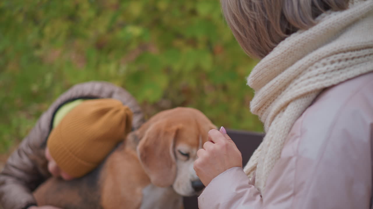 young girl in puffy jacket and orange beanie hugs calm beagle closely while woman in scarf lovingly observes, surrounded by lush green and orange foliage in peaceful autumn park