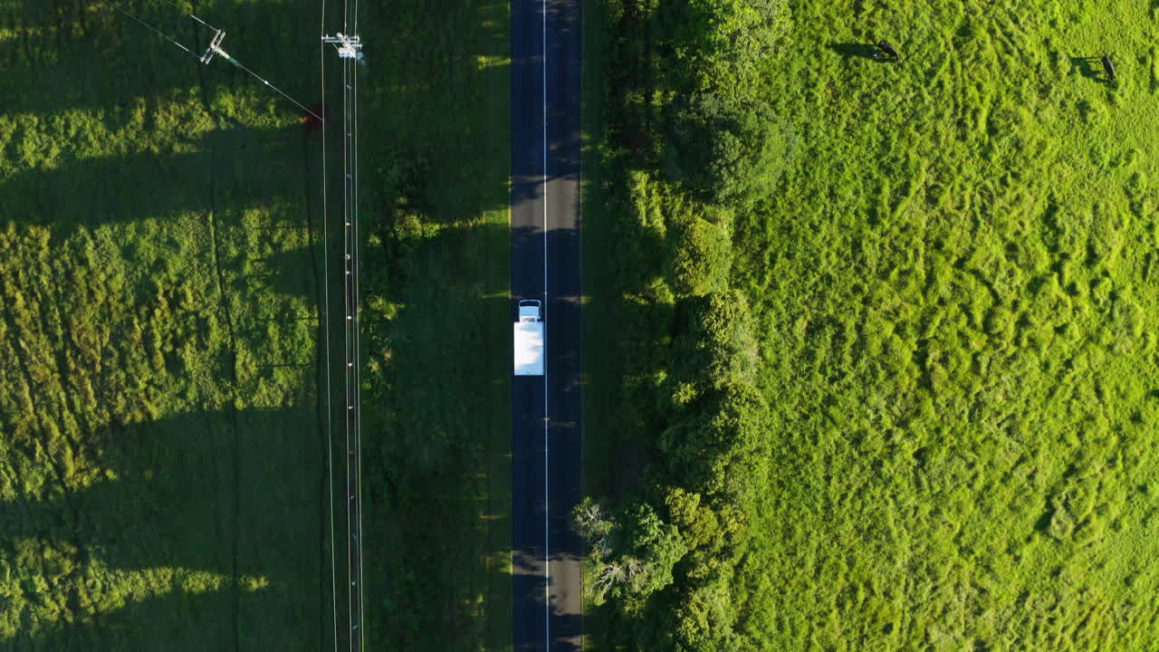 Ripresa aerea dall'alto con drone che segue un camion bianco su una strada nella verde campagna rurale, 4K