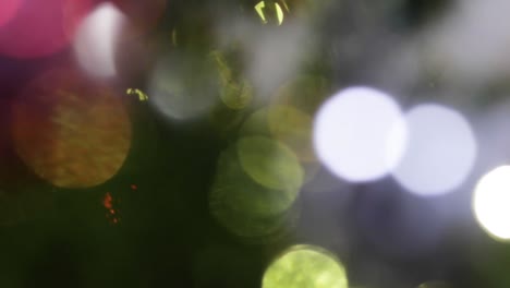 foto deslizante de un bokeh de estilo navideño que muestra luces en un árbol de navidad