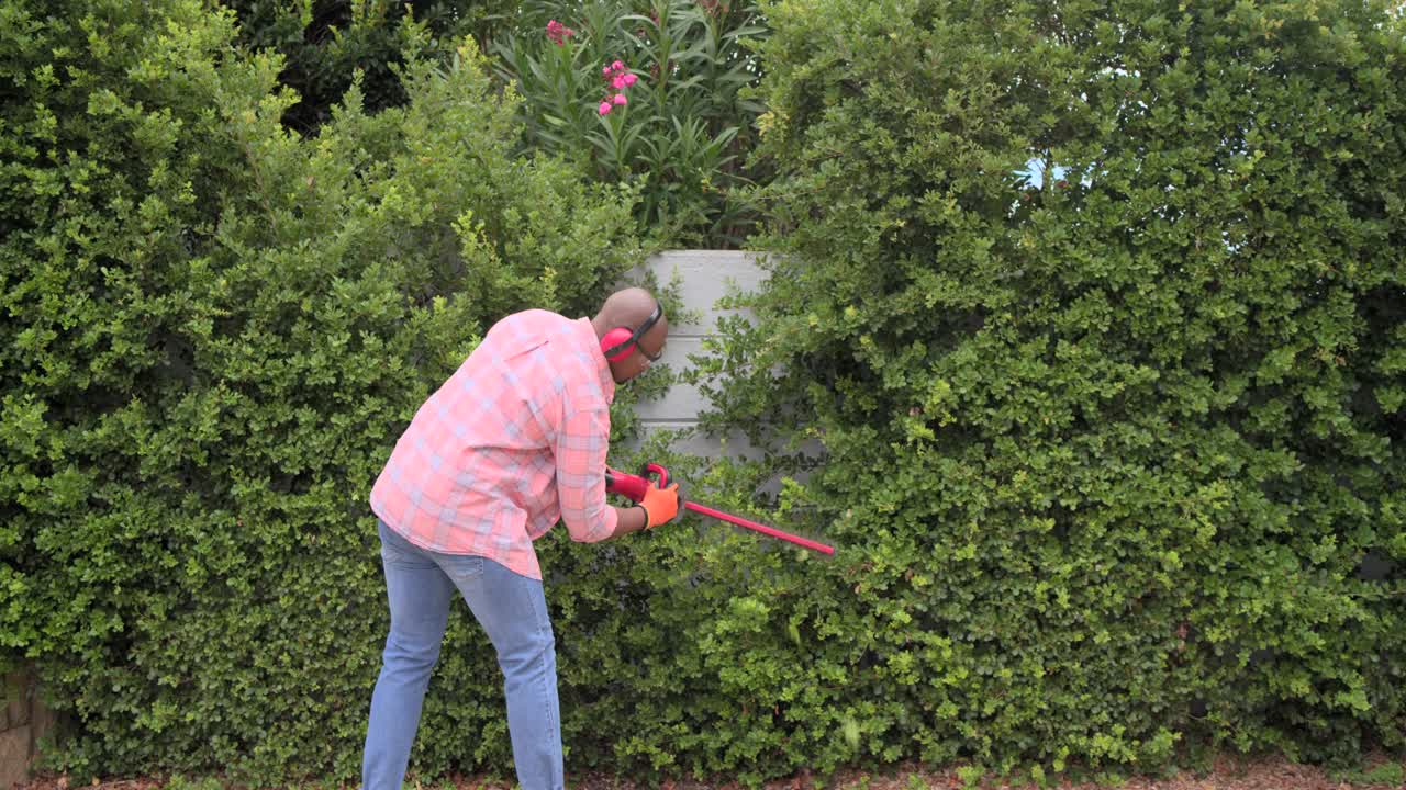 Man wearing orange gloves picking up red pole trimmer, trimming hedge in yard to even profile