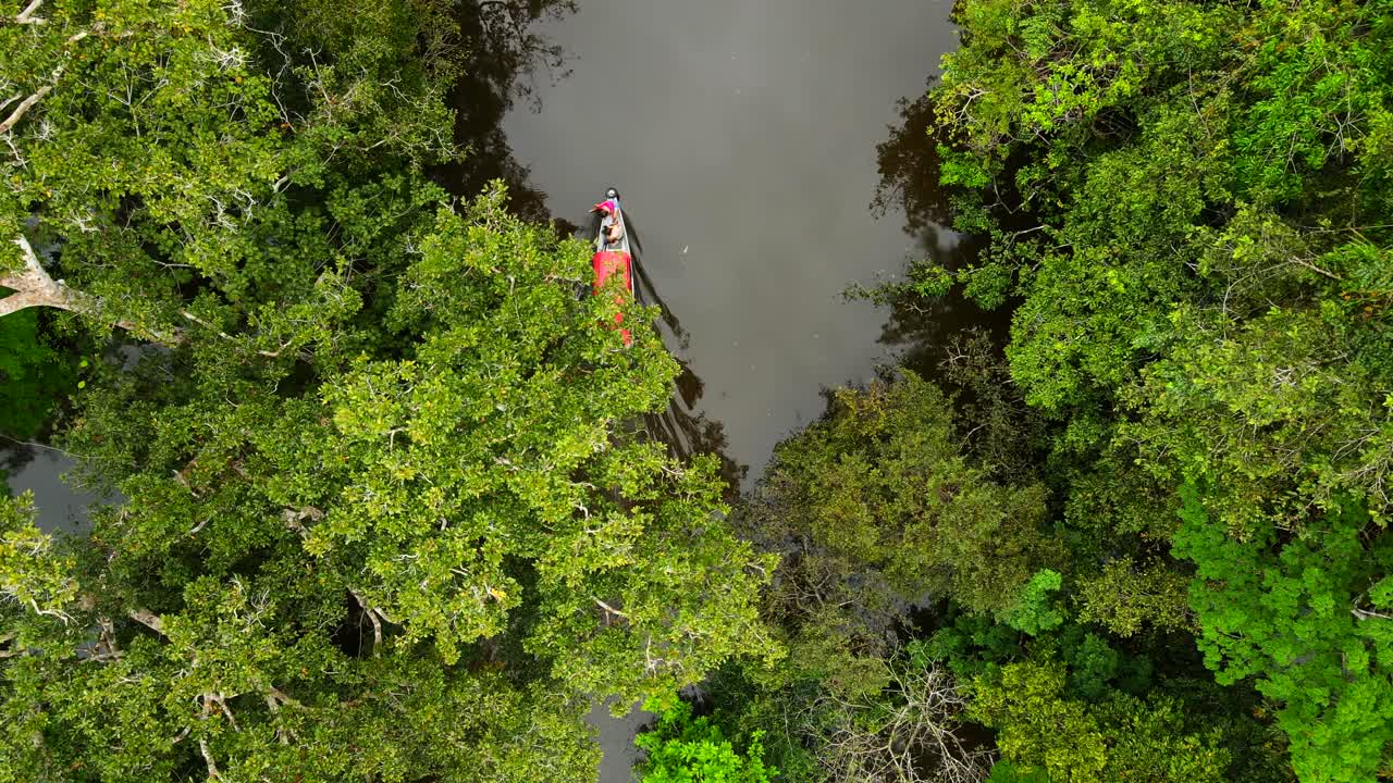 Vista aerea della rigogliosa foresta pluviale amazzonica vicino a un fiume tranquillo nei pressi di Manaus, Brasile