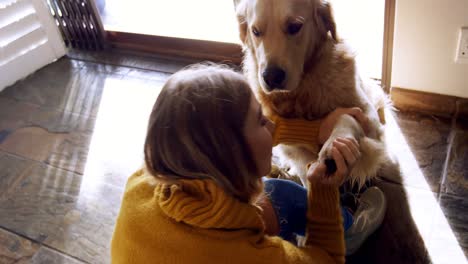 schöne frau liebt ihren hund 4k