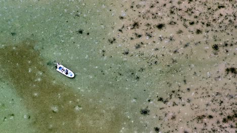 Flats-fishing-boat-anchored-near-swimming-school-of-fish-in-Bahamas