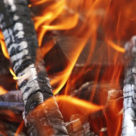 coals are burning in fire flame. orange fire transforms the wood into charcoal in the grill. background of burning logs. close-up.