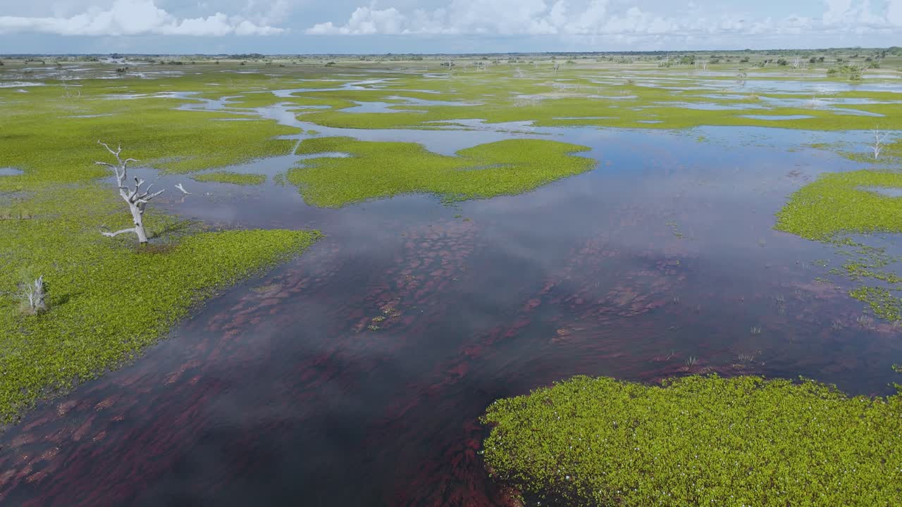 The Pantanal is considered the largest wetlands in the world