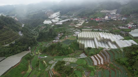 general landscape view of the brinchang district within the cameron highlands area of malaysia