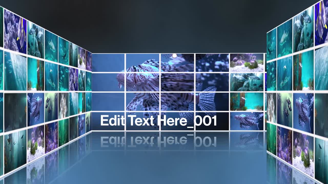 Dynamic Digital Display of Underwater Marine Life Videos