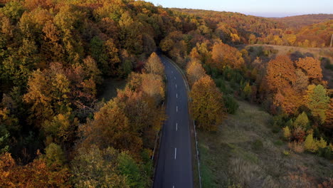 Vista-Aérea-Otoño-En-El-Bosque-Y-La-Carretera-En-Hungría