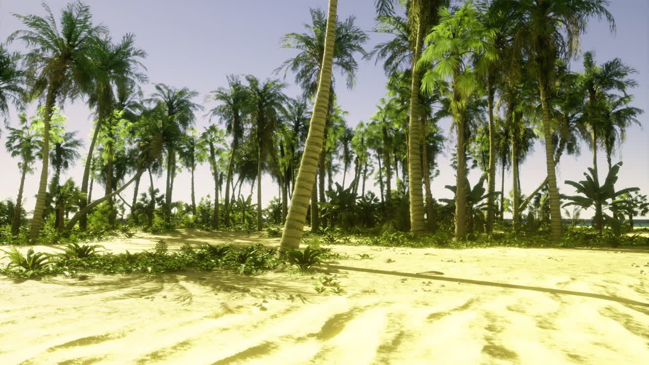 Tropical landscape with palm trees and sandy beach under sunny sky