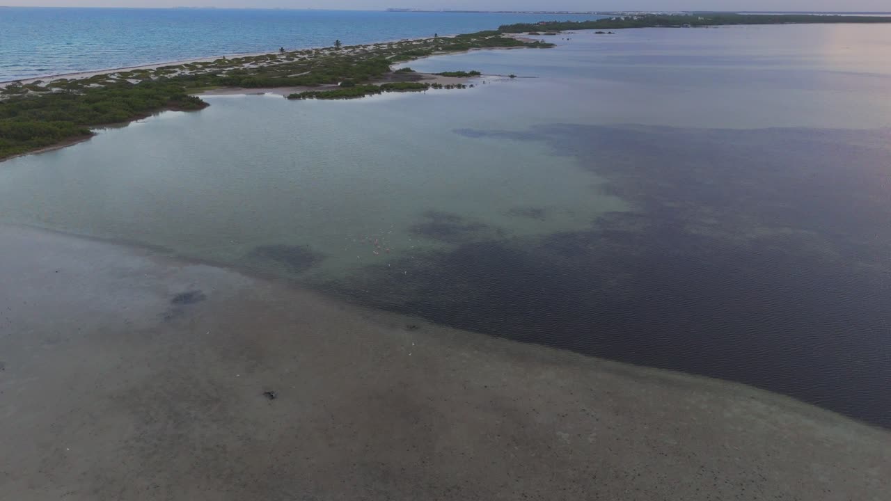 Aerial view of Lagoon in Quintana Roo surrounded by mangrove and a beautiful seascape ecosystem